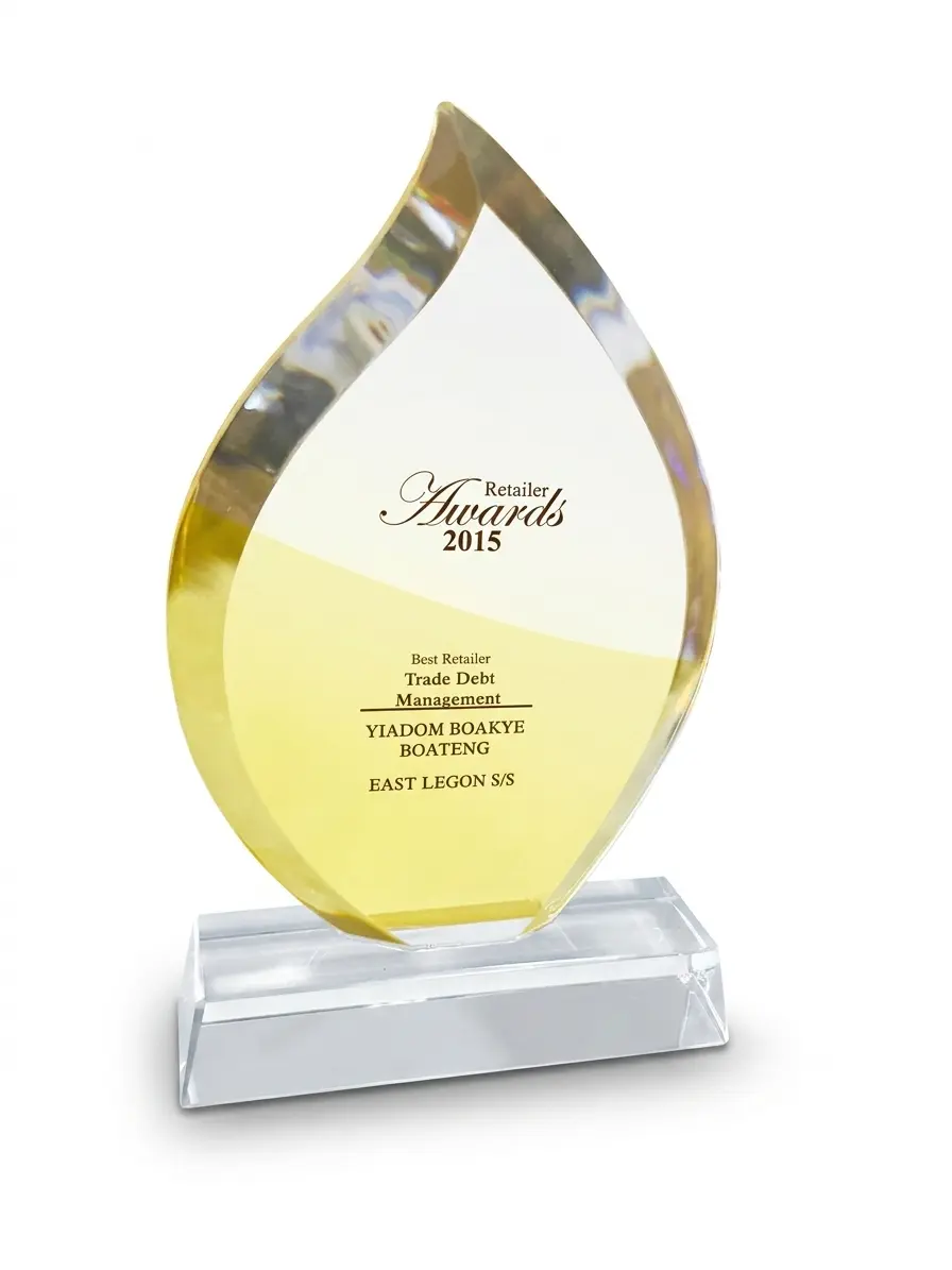 Best Retailer 2015 Trophy
